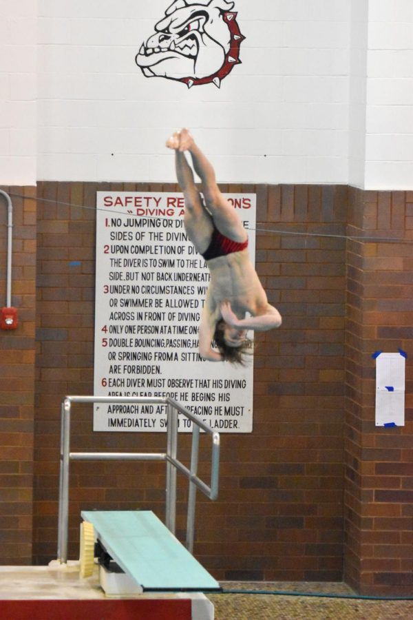 Tyler Davidson Finishes 28th at the State Diving Tournament