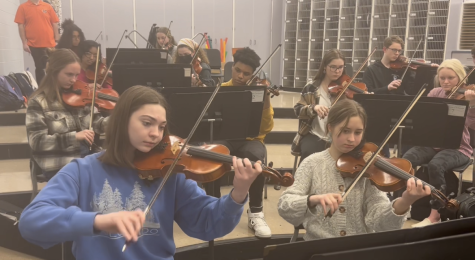 MVHS Orchestra to perform at State