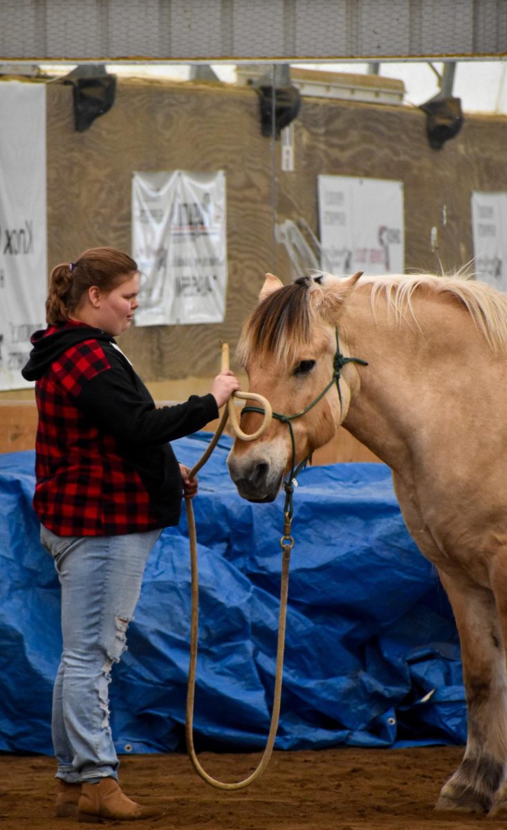 Students participate at the Shane Center for Therapeutic Horsemanship