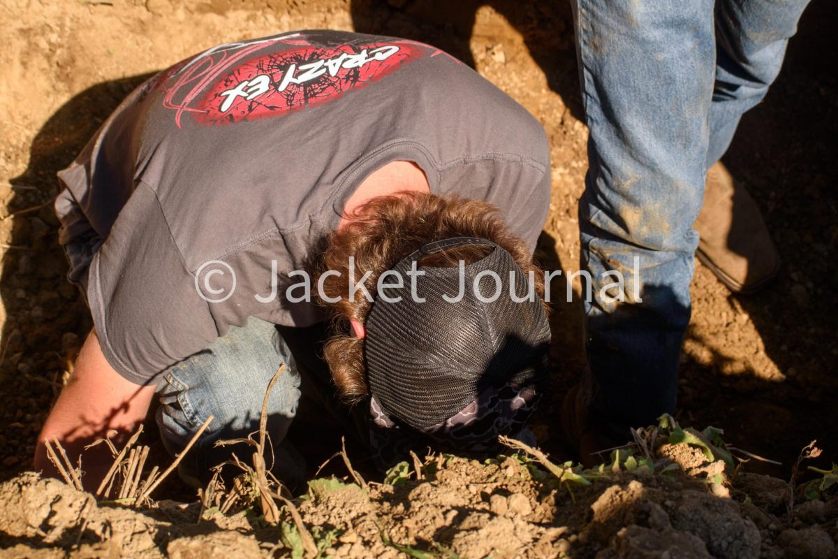 Mount Vernon FFA Competes in the Forestry Division