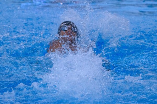 Mount Vernon Boys Swim Team Wins Small Schools Invitational; Ladies Place Third as Both Teams Claim Second Overall